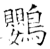 鸚(石经·唐·开成石经)