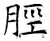 脛(石经·唐·开成石经)